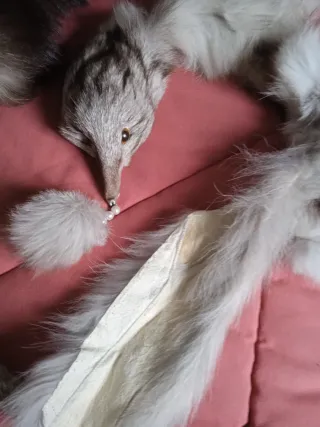 Pieles de zorro y conejo