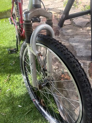 Bicicleta de montaña GOTTY