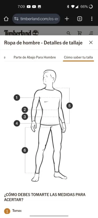 Cazadora Piel Timberland Hombre Talla L