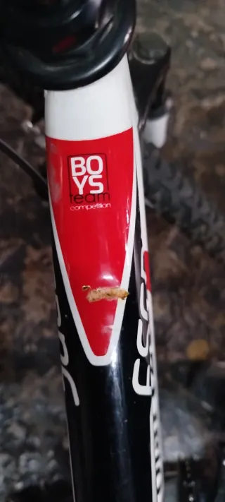 Bicicleta Montaña Niño