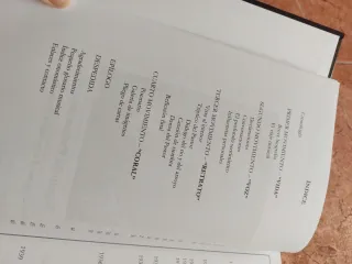 La guitarra magica de Segundo Pastor