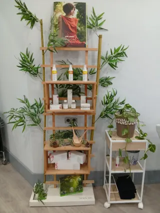 Estantería de madera con plantas decorativas
