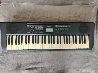 Teclado Electrónico Ringway TB100