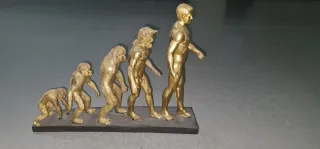 Figura Resina Evolución Humana
