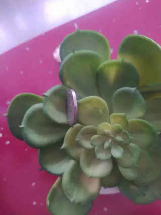 MONEDA TWENTY  PENCE 1999 ISABEL II