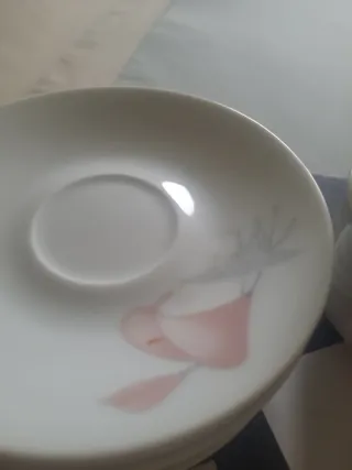 Juego de café porcelana fina de bohemia rosa y bla