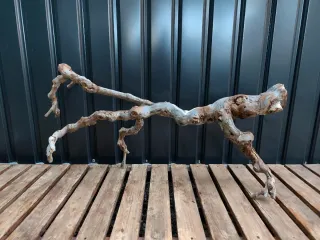 Raíz/tronco Decoración acuario OFERTA SOLO HOY!