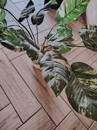 Pianta artificiale decorativa