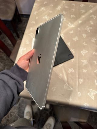 iPad Pro 11 de 1Tb