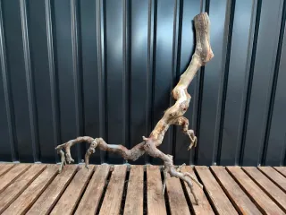 Raíz/tronco Decoración acuario OFERTA SOLO HOY!