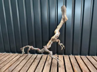 Raíz/tronco Decoración acuario OFERTA SOLO HOY!