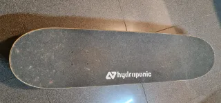 Skate Completo Hydroponic Rasta