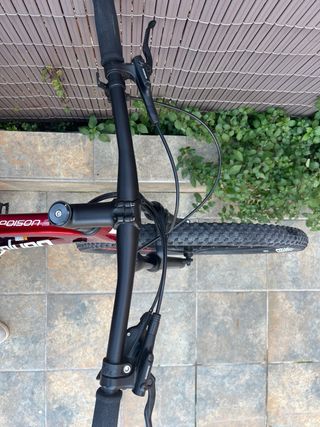 Bicicleta Coluer Carbono Talla L