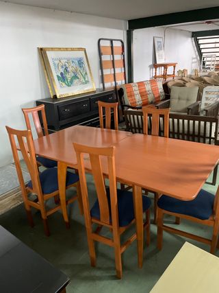 Mesa plegable y 6 sillas