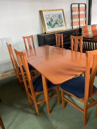 Mesa plegable y 6 sillas