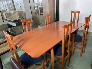 Mesa plegable y 6 sillas