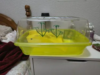 Pescera para tortuga con accesorios