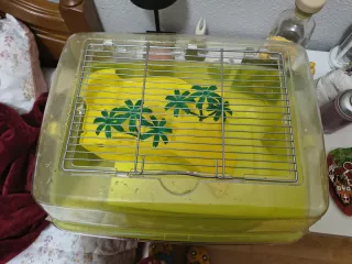 Pescera para tortuga con accesorios