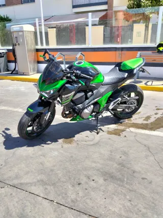 Kawasaki Z800 Performance