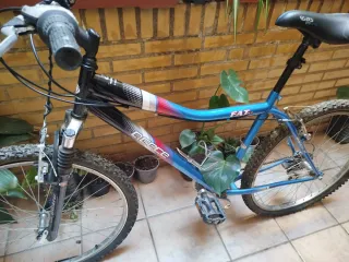 Bicicleta Básica Ciudad