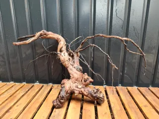 Raíz/tronco Decoración acuario OFERTA SOLO HOY!