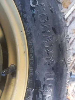 Rueda de galleta nueva