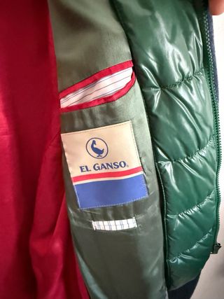 Americana El Ganso Azul y Verde