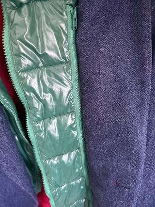 Americana El Ganso Azul y Verde