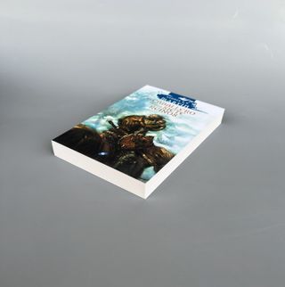 #767 El caballero de los Siete Reinos