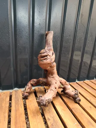 Raíz/tronco Decoración acuario OFERTA SOLO HOY!