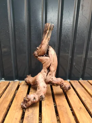 Raíz/tronco Decoración acuario OFERTA SOLO HOY!