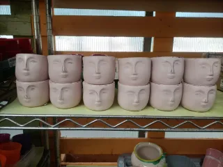 Set 12 Mini Vasi Viso Pianta Grassa