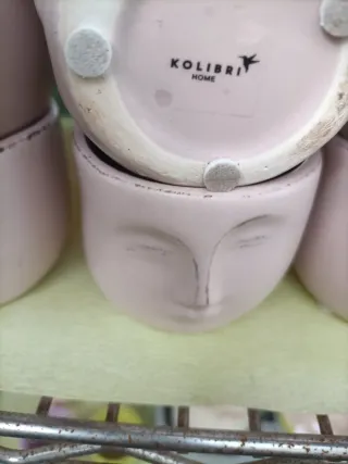 Set 12 Mini Vasi Viso Pianta Grassa