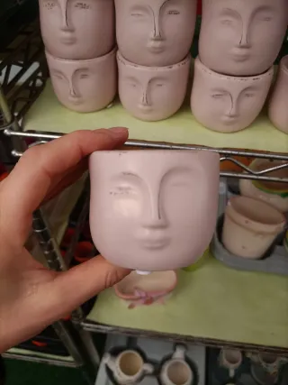 Set 12 Mini Vasi Viso Pianta Grassa