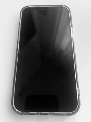 iPhone 12 Pro 256GB Grafito