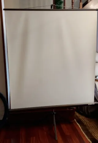 Pantalla Proyector Portátil Reflecta