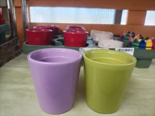 Set 2 Mini Vasi Pianta Grassa Ceramica