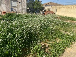 Día y Noche 15€ | Cuido Perros En Casa