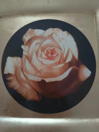 Piatto decorativo con rosa dorato