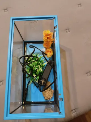 Pecera con filtro y calentador