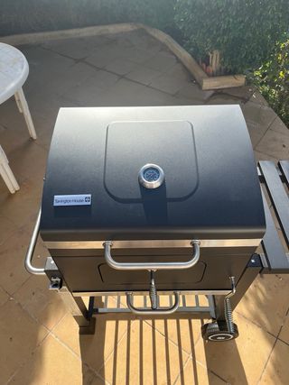 Barbacoa de carbón con tapa y ruedas