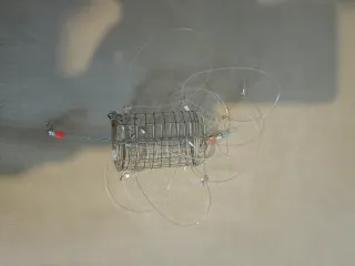 Trampa para cangrejos y pesca