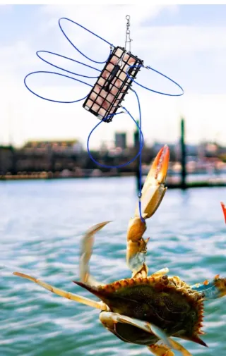 Trampa para cangrejos y pesca