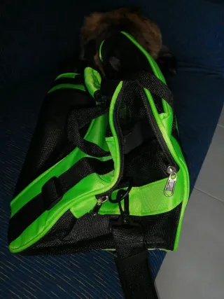 Trasportino per gatto nero e verde