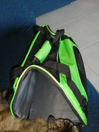 Trasportino per gatto nero e verde
