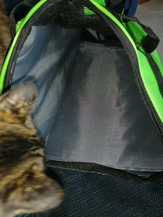 Trasportino per gatto nero e verde