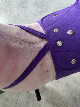 Caballito de peluche rosa