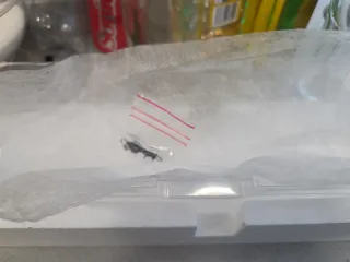 Locomotora AVE Mehano H0 252