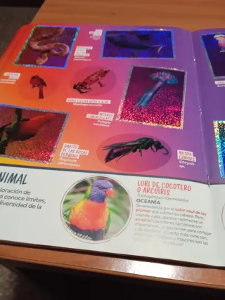Mundo Animal Los Records Panini Álbum Cromos