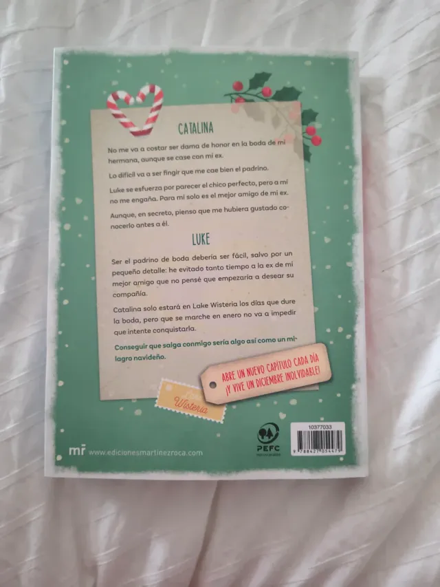 Un amor de diciembre: Una novela de adviento